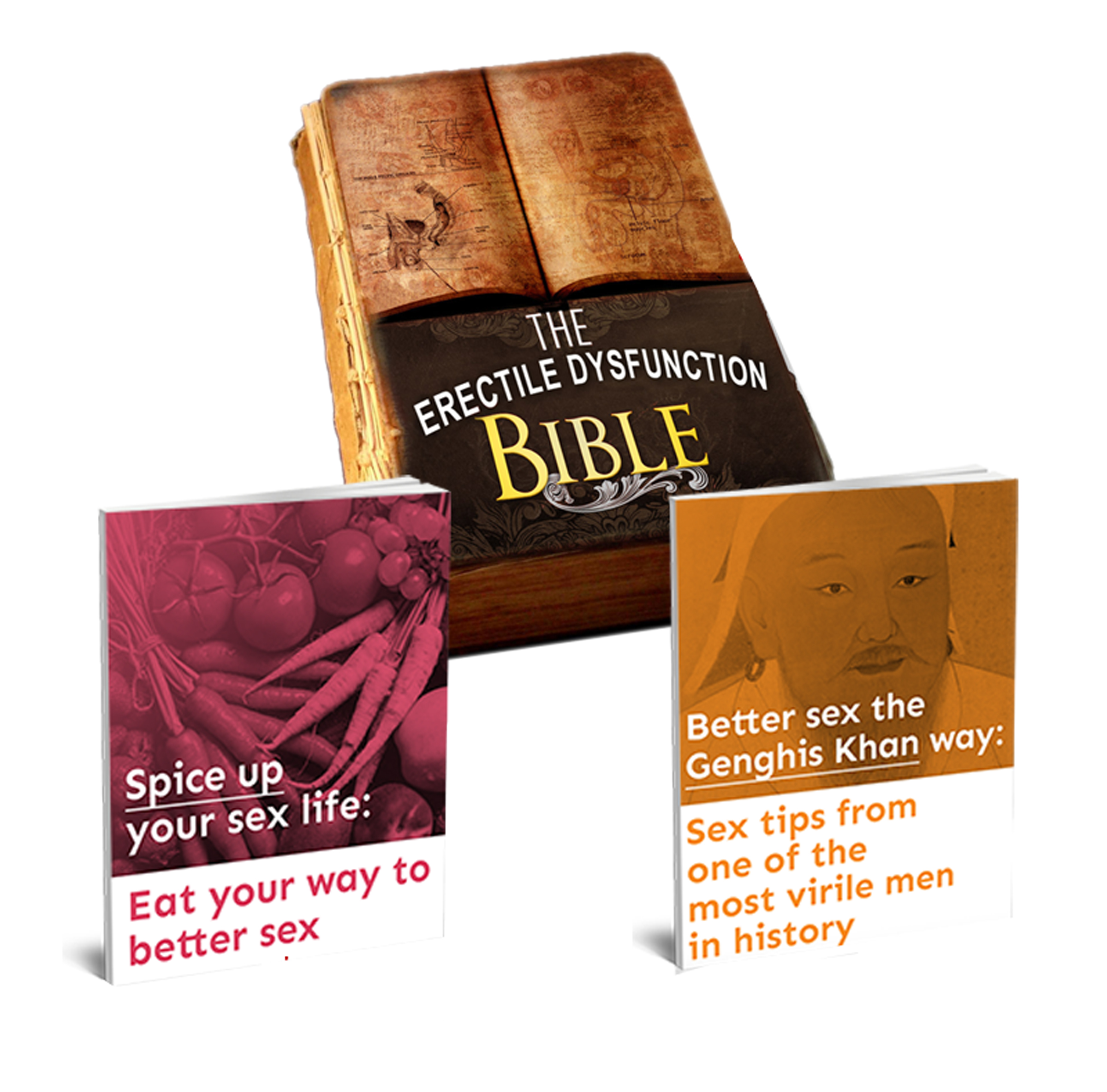 ED-Bible-review
