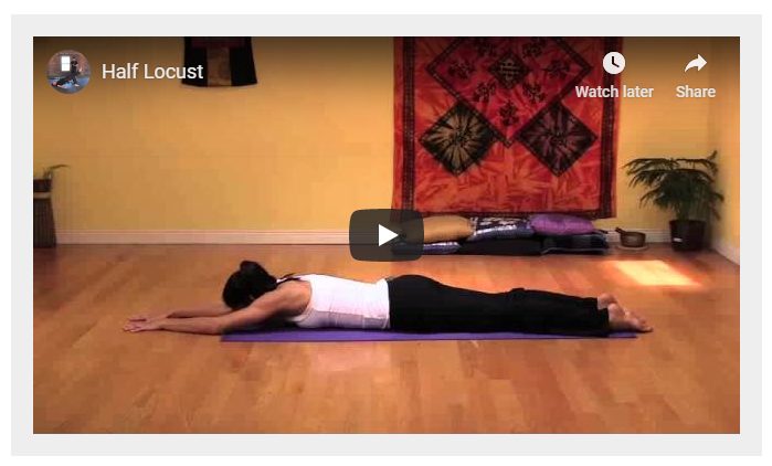 ShapeShifter Yoga reviews