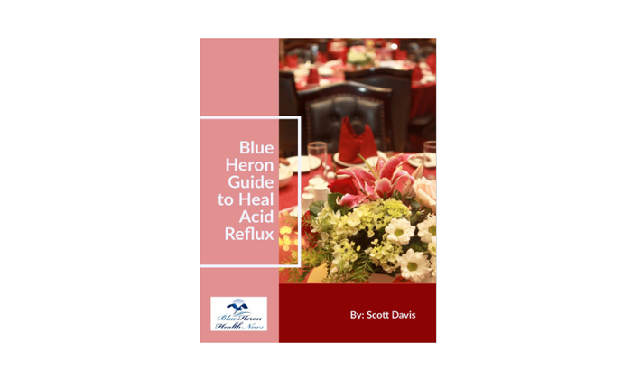 The Acid Reflux Strategy review