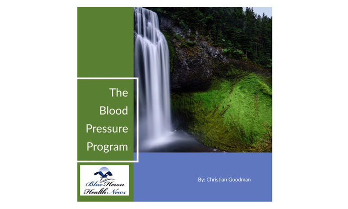 The Blood Pressure Program review