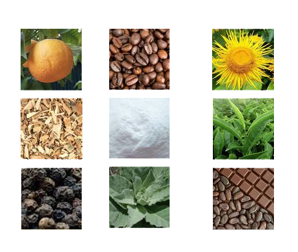 skald oxydynamic fat scorcher ingredients