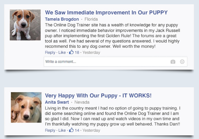 best online dog training course