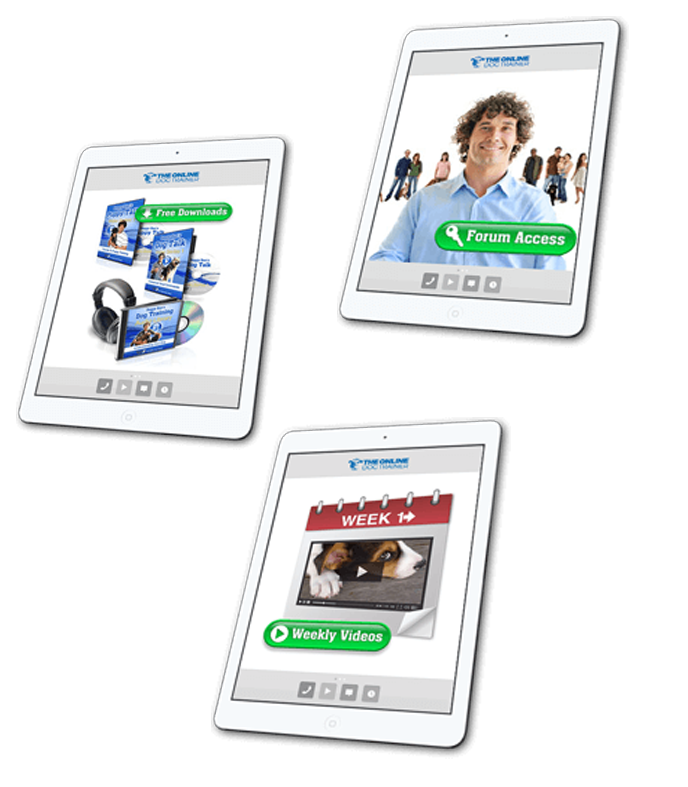 doggy dans online dog trainer bonus