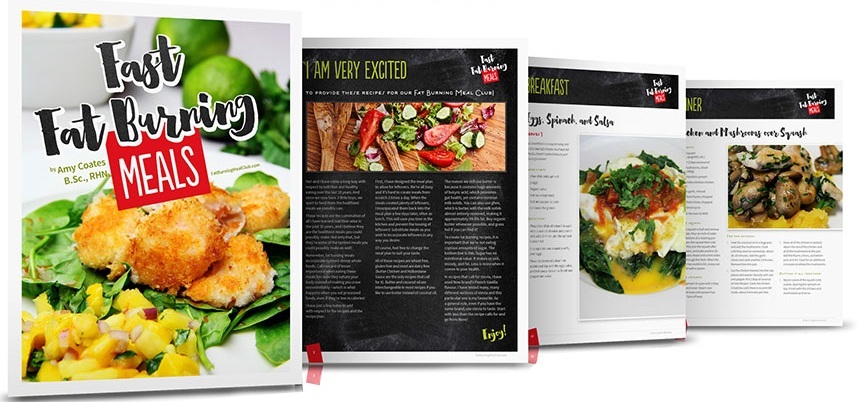 Fast Fat Burning Meals eBook