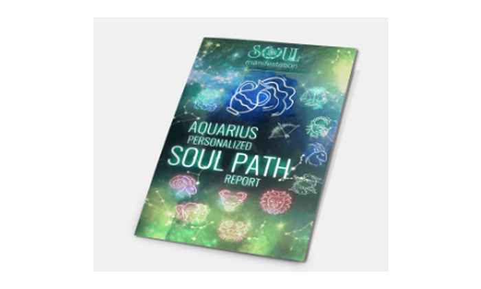 Soul Manifestation Review