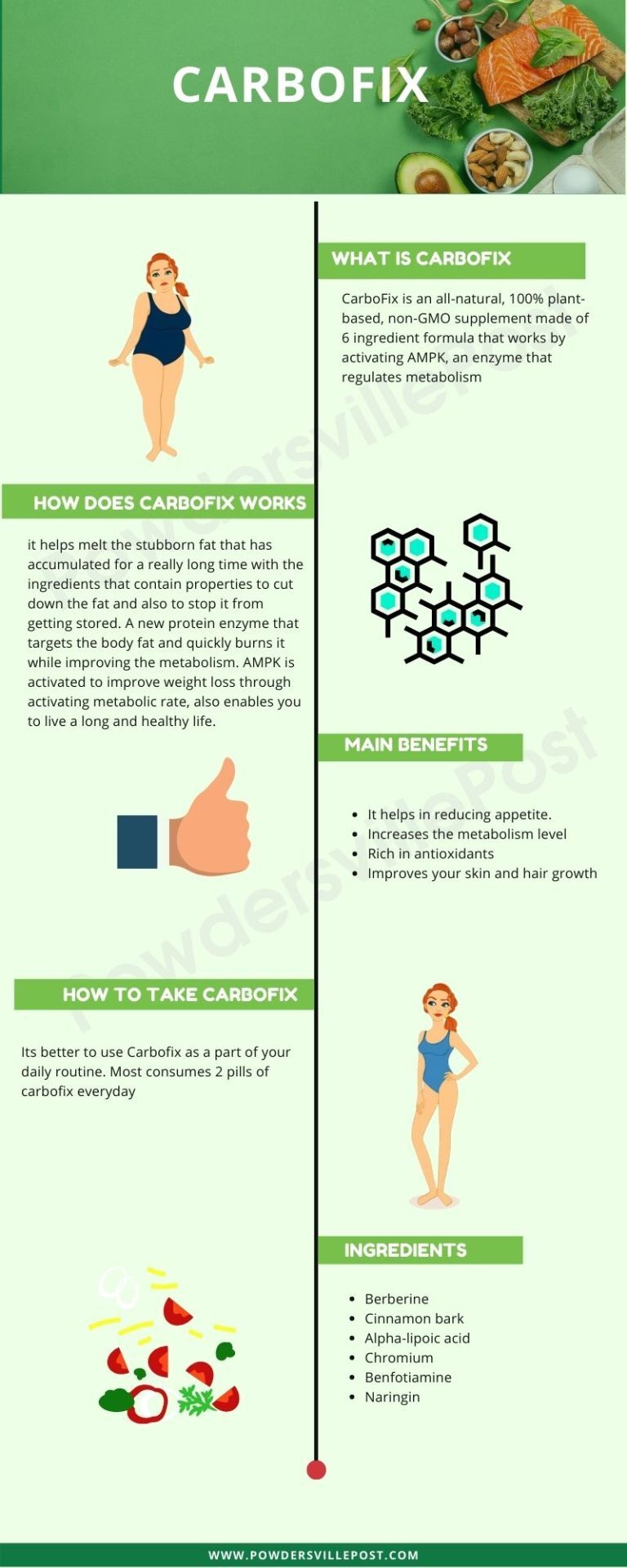 CarboFix overview