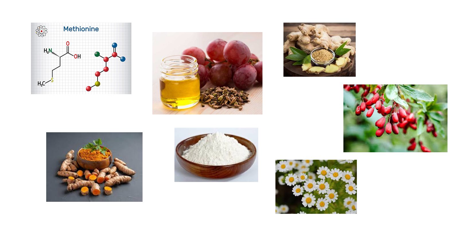 steel bite pro ingredients