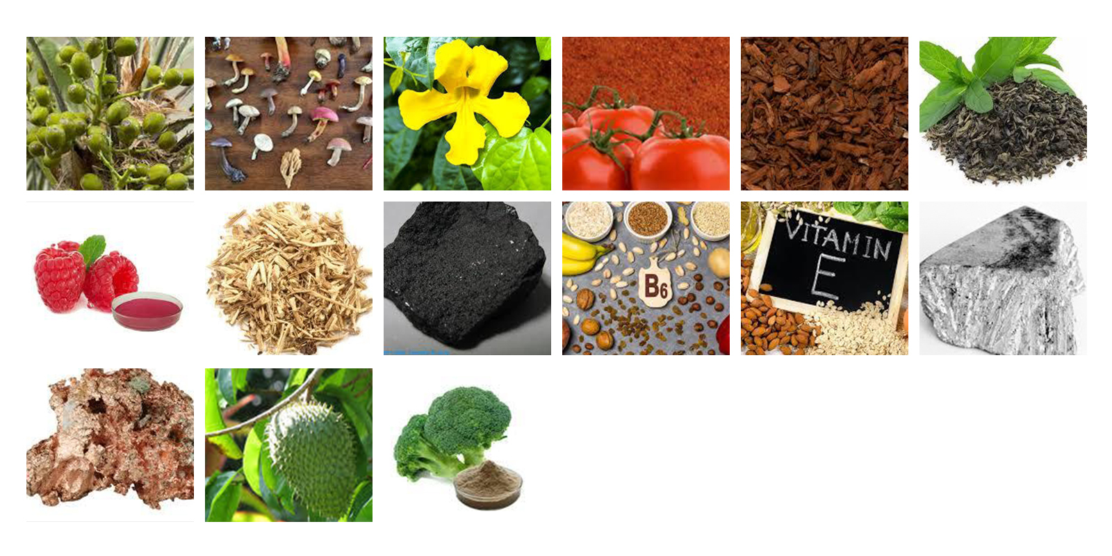 VitalFlow-Ingredients