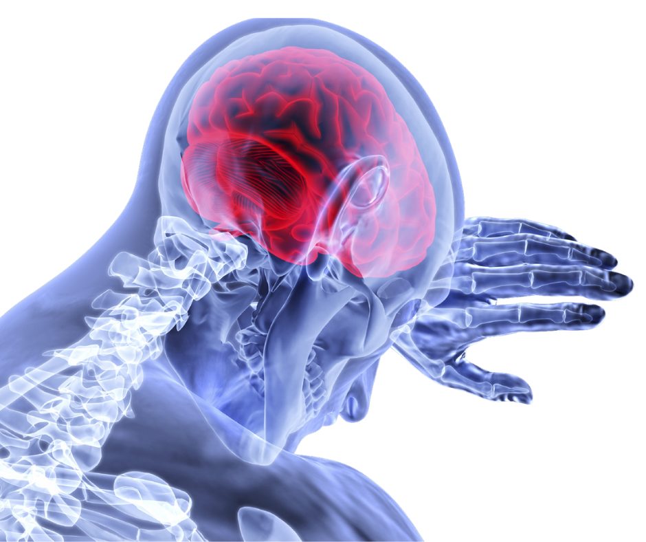 brain health