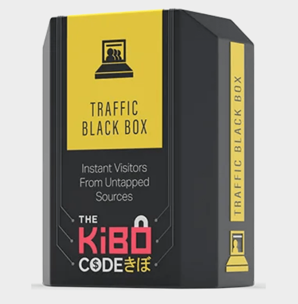 Traffic Black Box