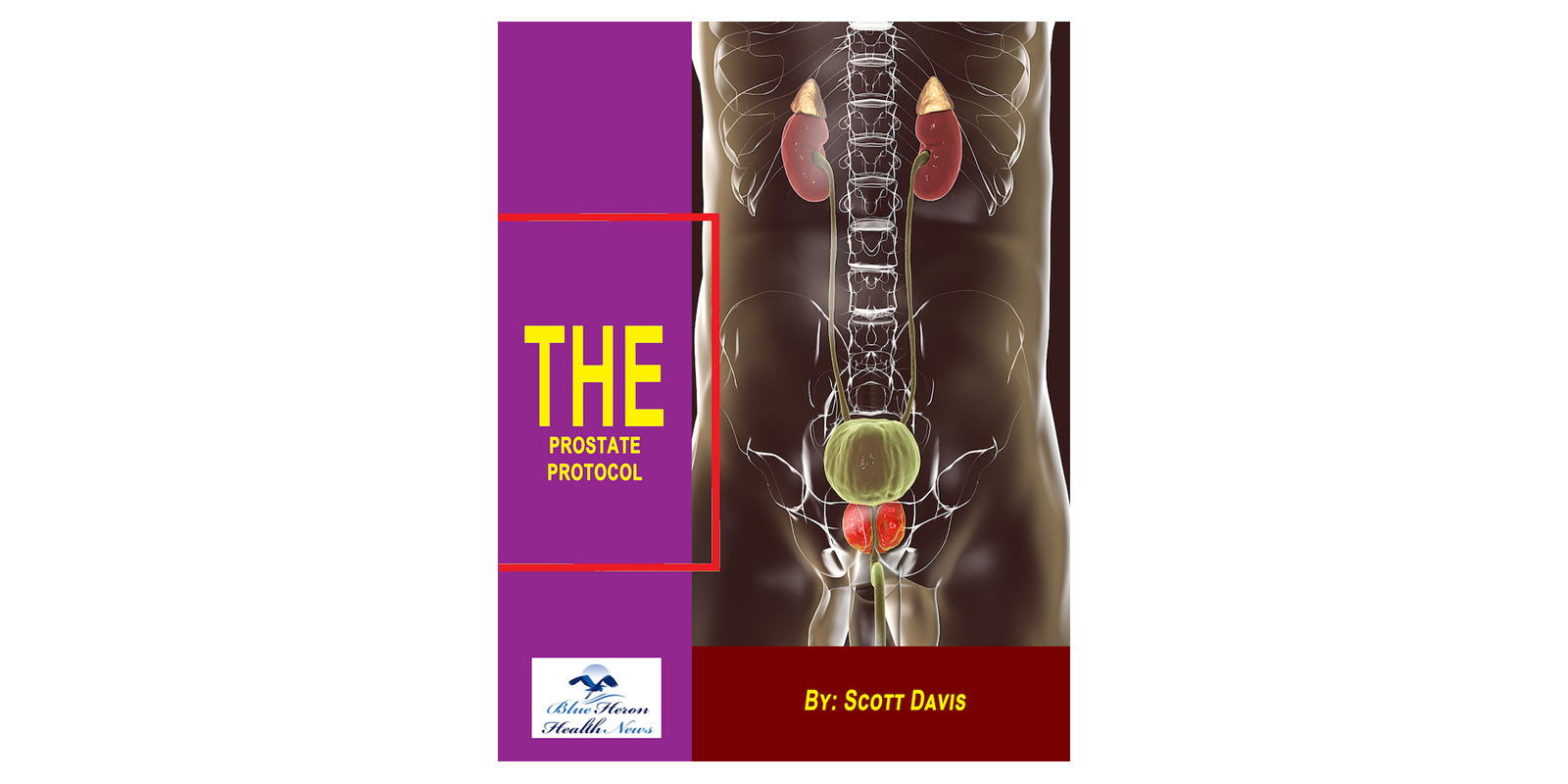 The Prostate Protocol reviews