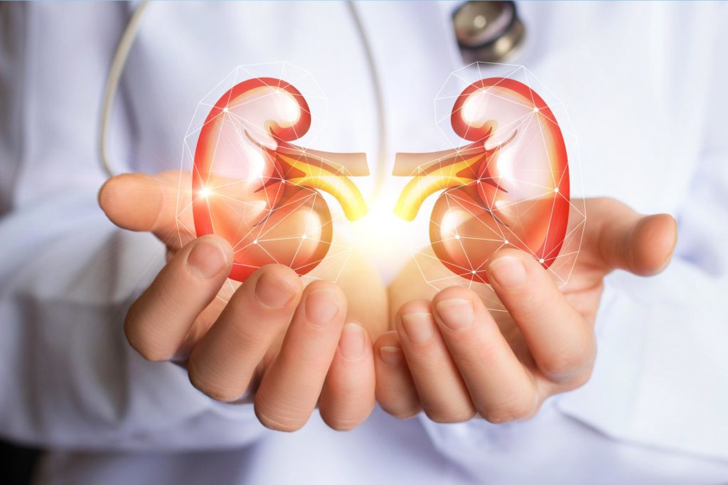 How To Keep Away From Chronic Kidney Diseases?