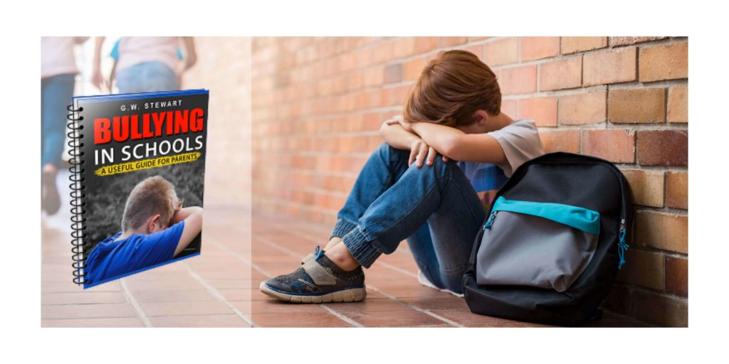 Bullying in Schools eBook working