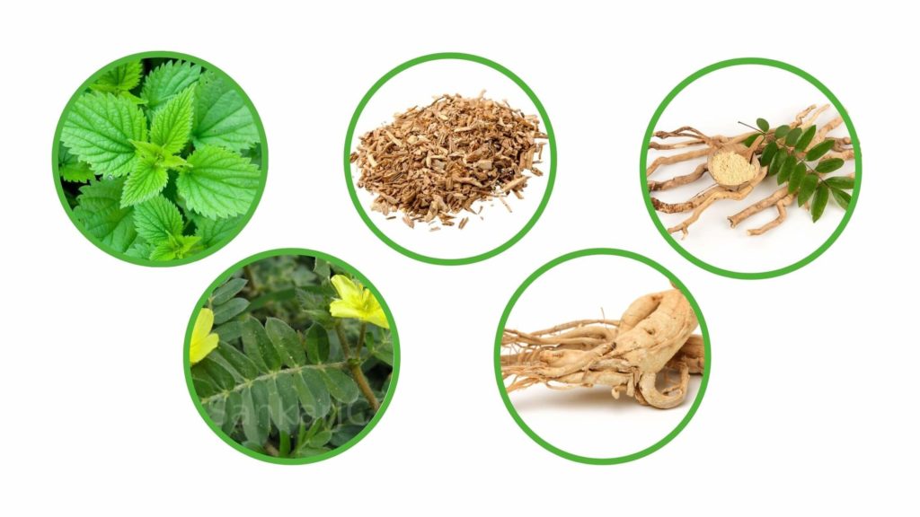 Ingredients Used In Alpha Edge Male Enhancement Pills