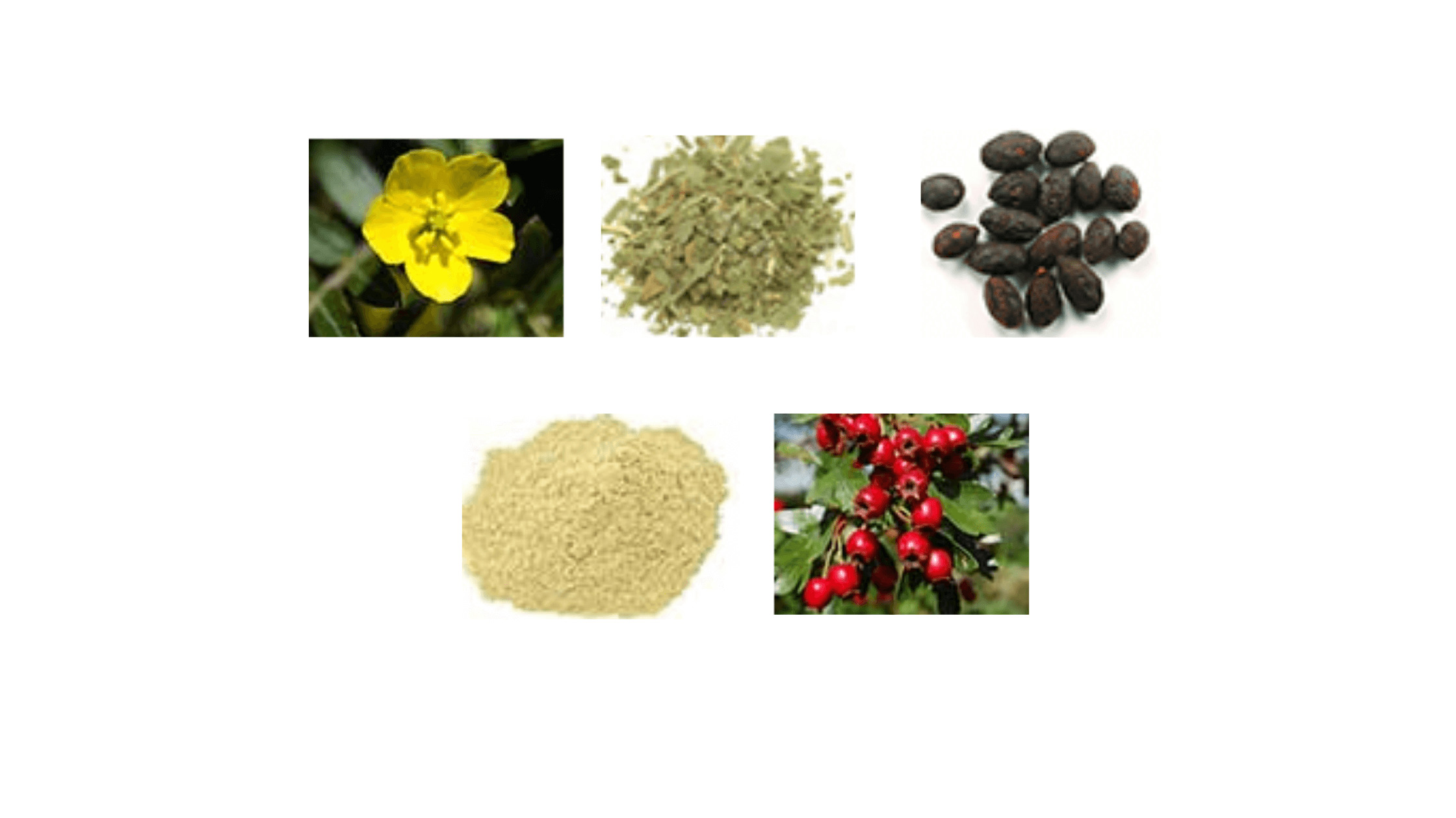 Renown T-Boost Ingredients