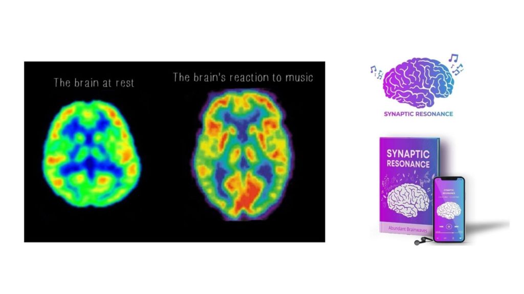 synaptic resonance working