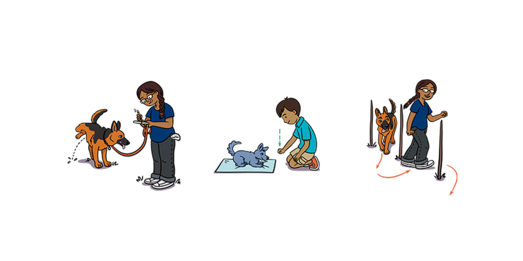 Brain Training for Dogs ebook